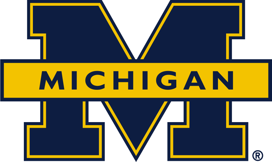 Michigan Wolverines 2016-Pres Secondary Logo v2 iron on transfers for clothing